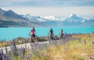 Du học đại học tại New Zealand, bạn có thể chọn học trường nào?
